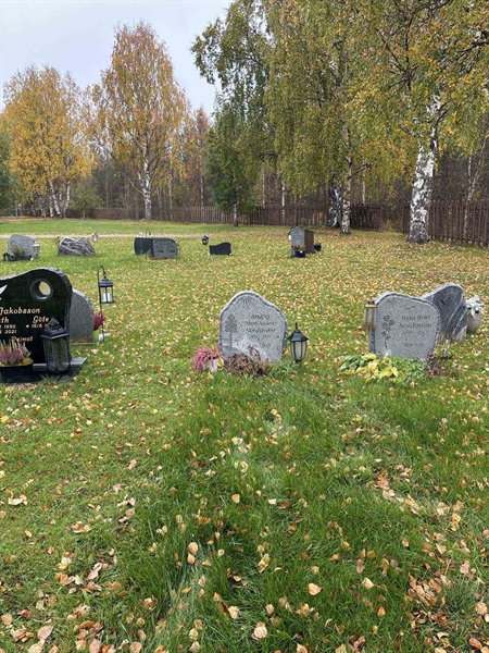 Hautatunnus: NK 22    16