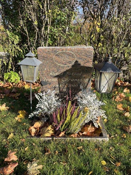 Gravnummer: 3084 J    55-56