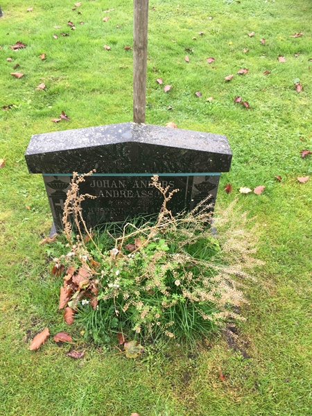 Grave number: 2 D   305