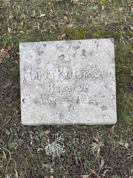 Gravnummer: LE   487