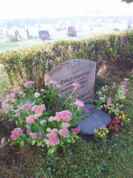 Hautatunnus: NK F B   909-910