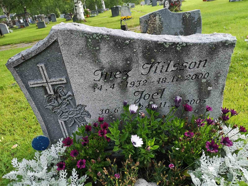 Hautatunnus: NK 17    15