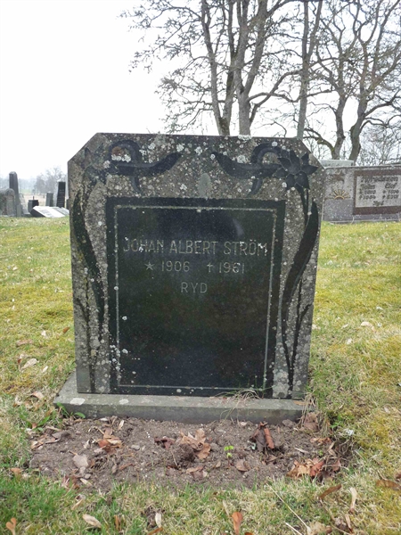 Grave number: JÄ 1  113