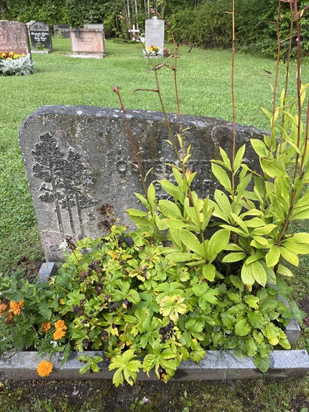 Grave number: 5 02   234