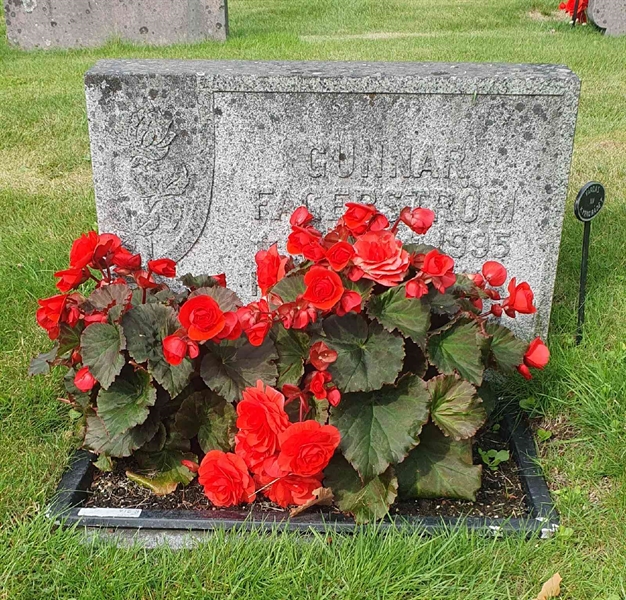 Grave number: 1 Y    48