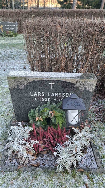 Hautatunnus: 6 05    174