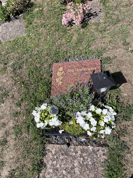Grave number: NK I:u   161