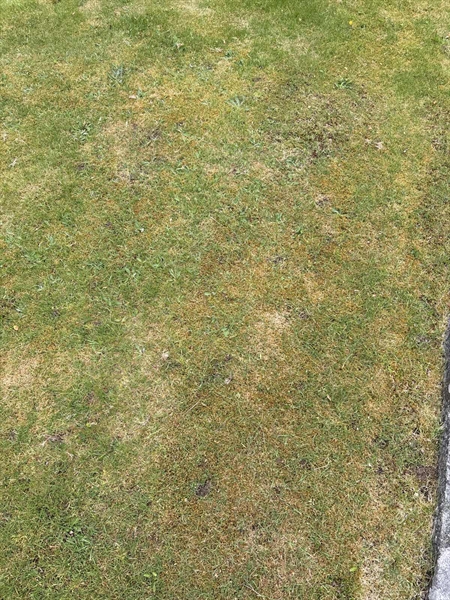 Grave number: SKF A   217, 218