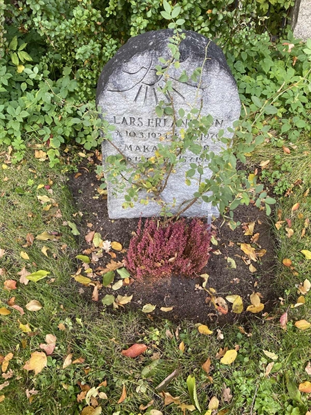 Hautatunnus: 1 H   243