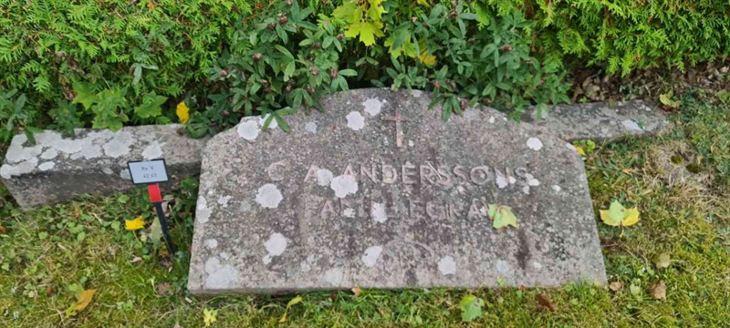Grave number: M V   42, 43
