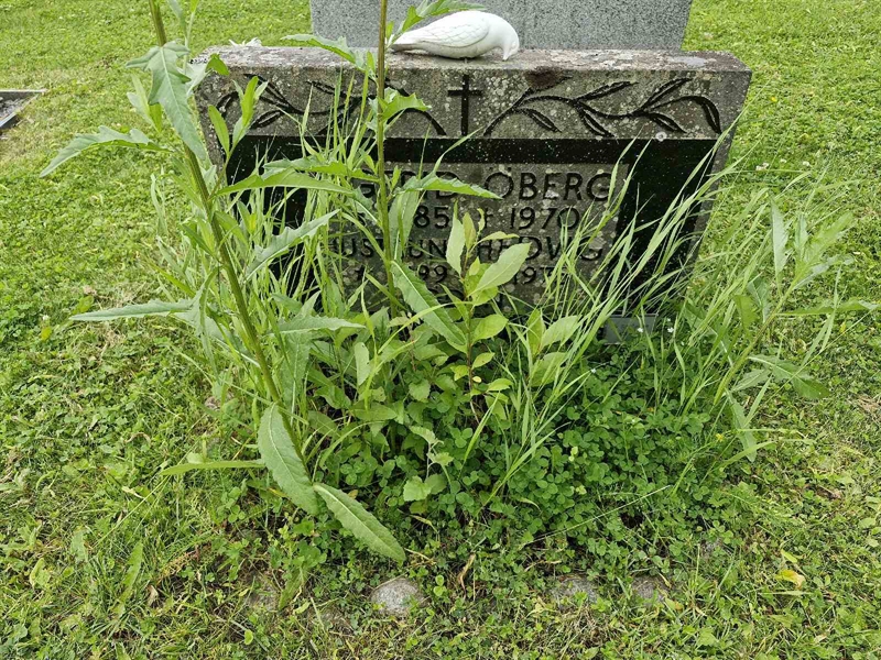 Grave number: GR PA   655-656