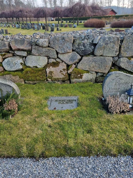 Grave number: TG 008 1169