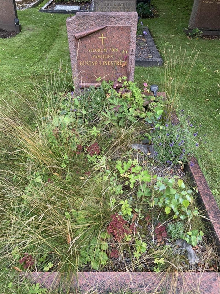 Grave number: 1 02   101