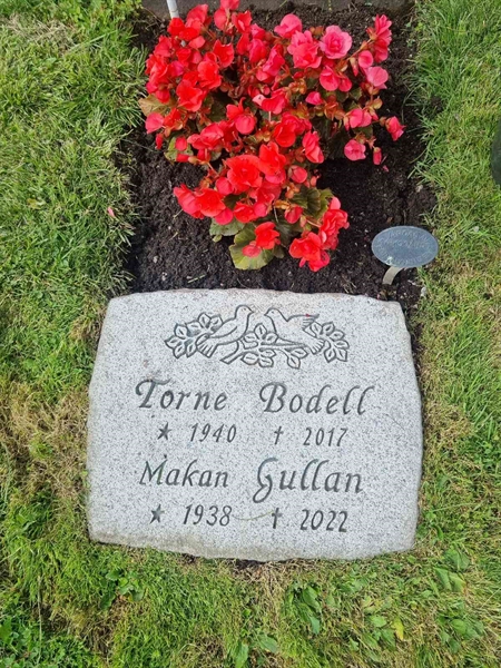 Grave number: 1 01 29