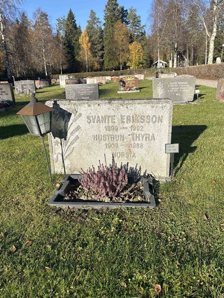 Hautatunnus: R 4   205-206