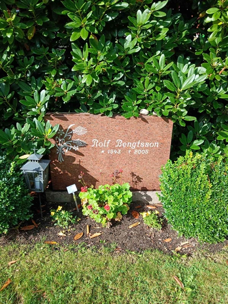 Grave number: ÖB 29    96, 97