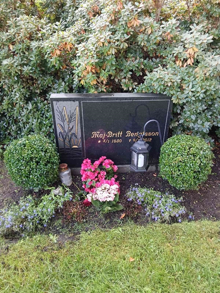 Grave number: ÖB 29    72, 73