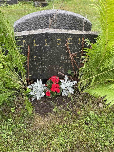 Gravnummer: N 4 4   534