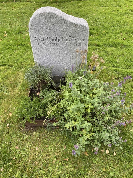 Hautatunnus: 2 C   411