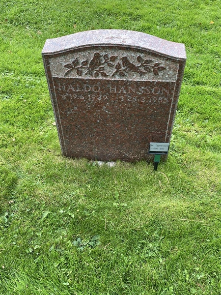 Gravnummer: 2 C   696-697