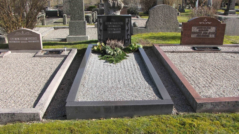 Grave number: HJ  1409