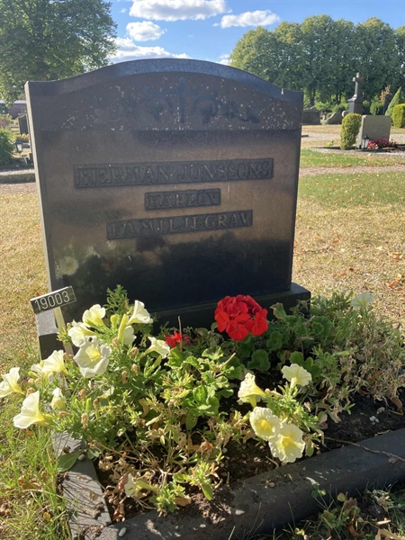 Grave number: NÅ 19 79, 80