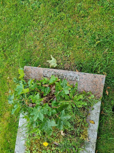 Grave number: KG 08   185