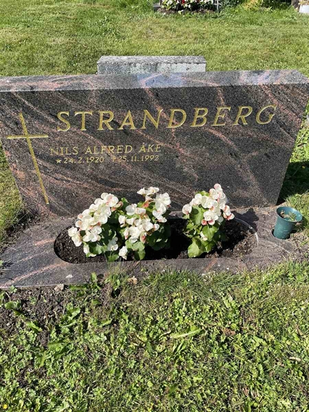 Hautatunnus: N 5 1    82