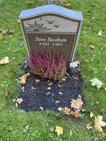 Gravnummer: 1 H   339