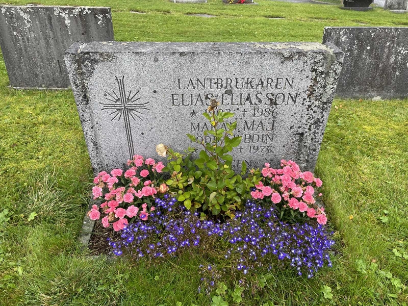 Grave number: MV II    35