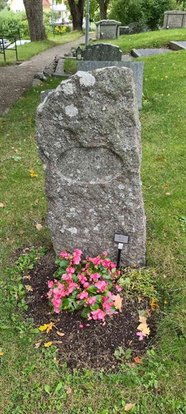 Grave number: M S   42, 43