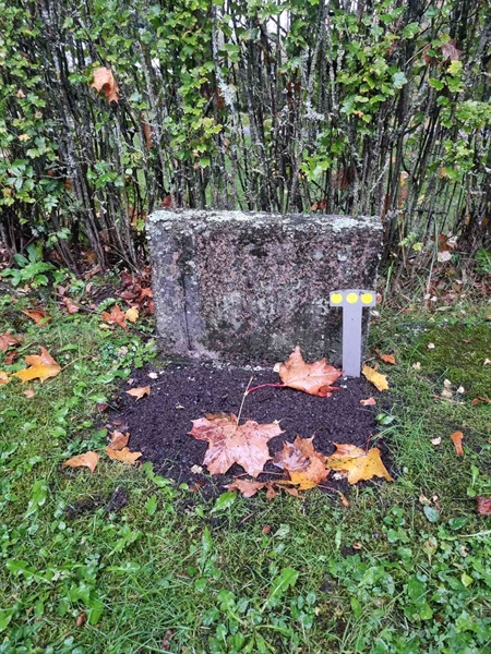 Grave number: 1 19   41