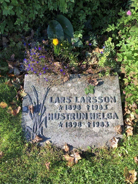 Hautatunnus: 3 N    45