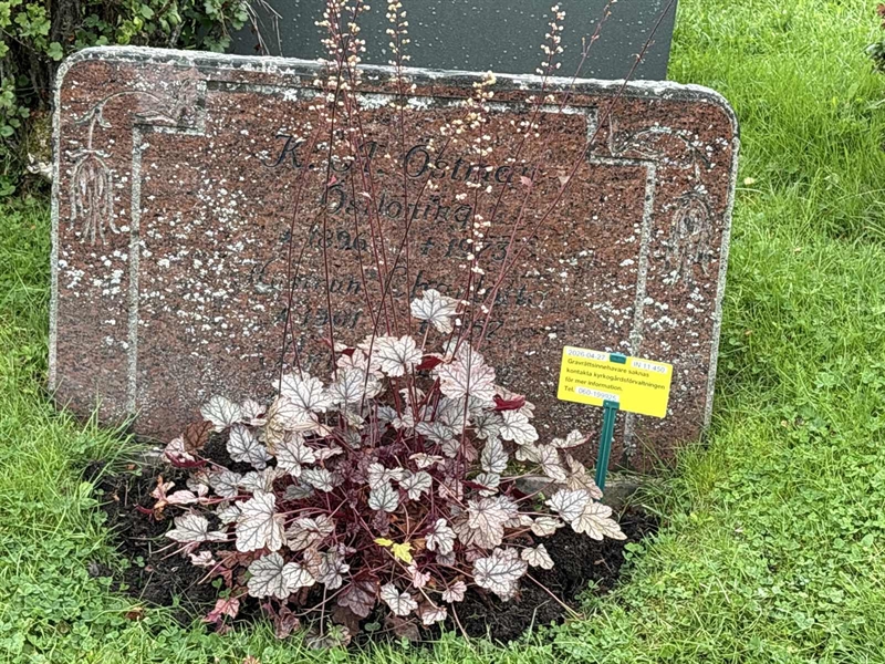 Grave number: IN 11   450