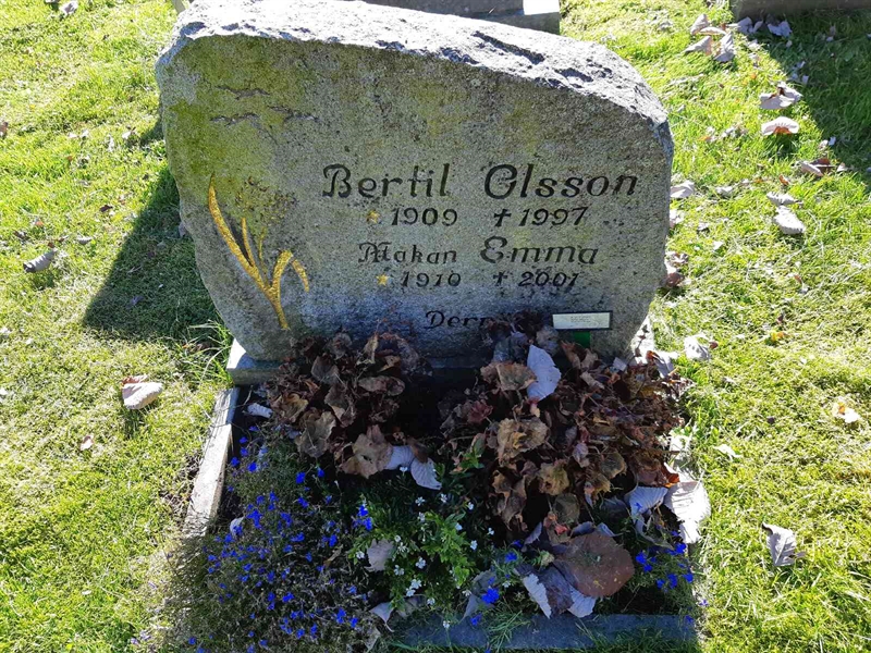 Grave number: Fr 7   702