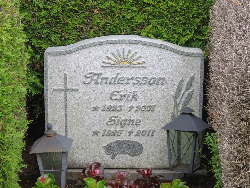 Grave number: HÖB 42    50