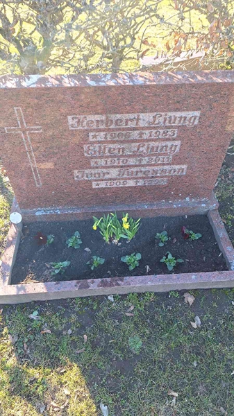 Grave number: ON F   231-233