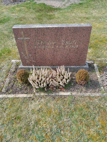 Hautatunnus: 20 N 102