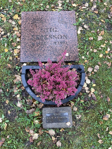 Grave number: R 5    19