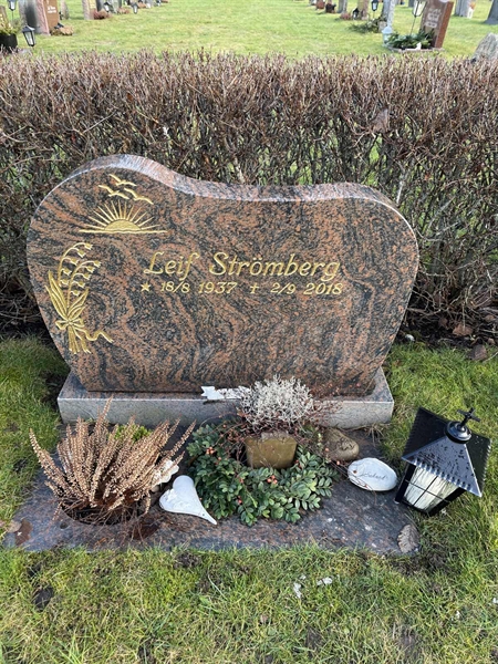 Hautatunnus: Ärt 96 35 162