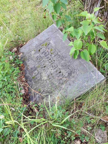 Gravnummer: GK F 5   502