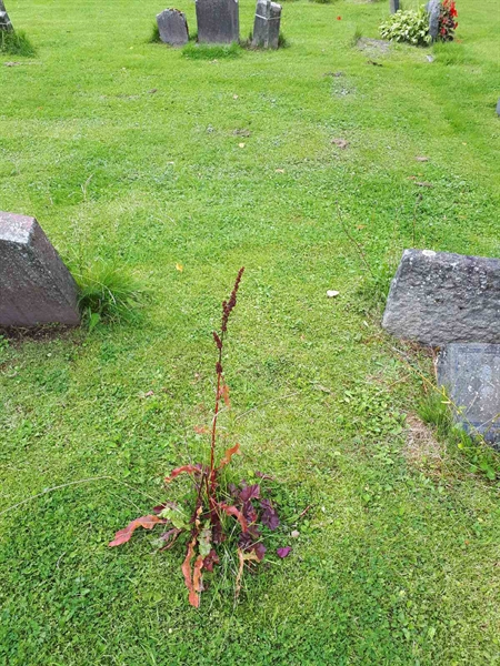 Hautatunnus: NK A A    40