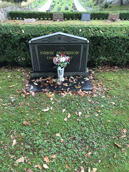 Grave number: SN 01    41, 42