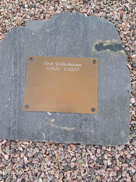 Hautatunnus: SA AGP6 24