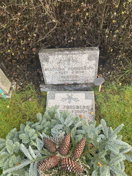 Hautatunnus: 6 04    105