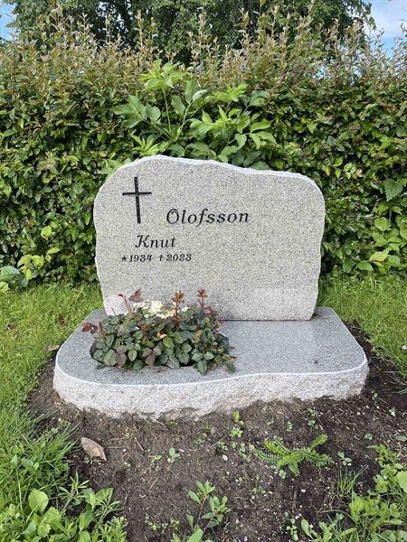 Hautatunnus: 7 09   131