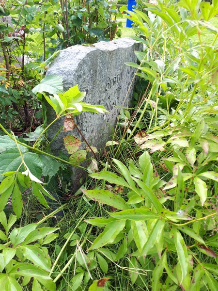 Hautatunnus: NK F C   119-120