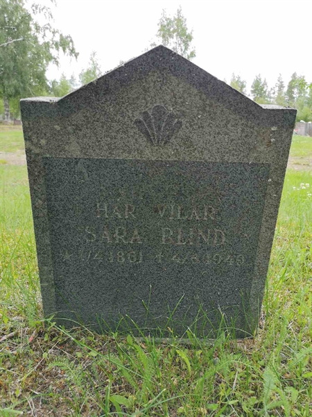 Hautatunnus: SK U     3