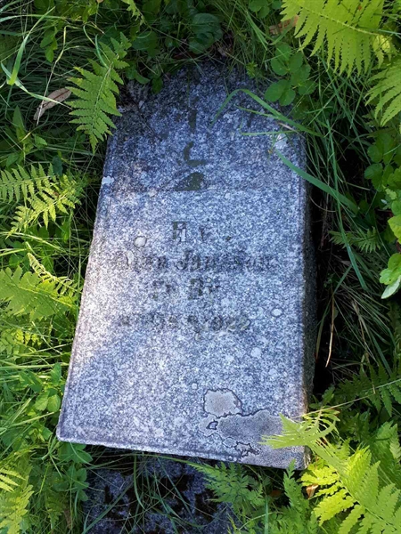 Hautatunnus: GK A 4   342V