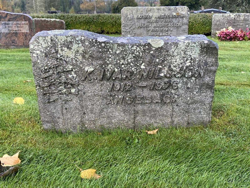 Grave number: 4 Öv 17    98